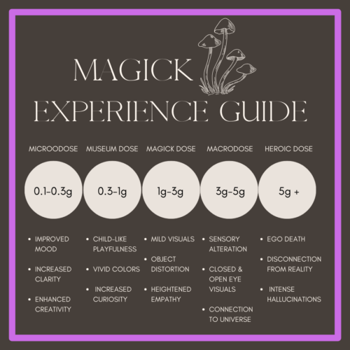 The Ritual Experience - Image 4