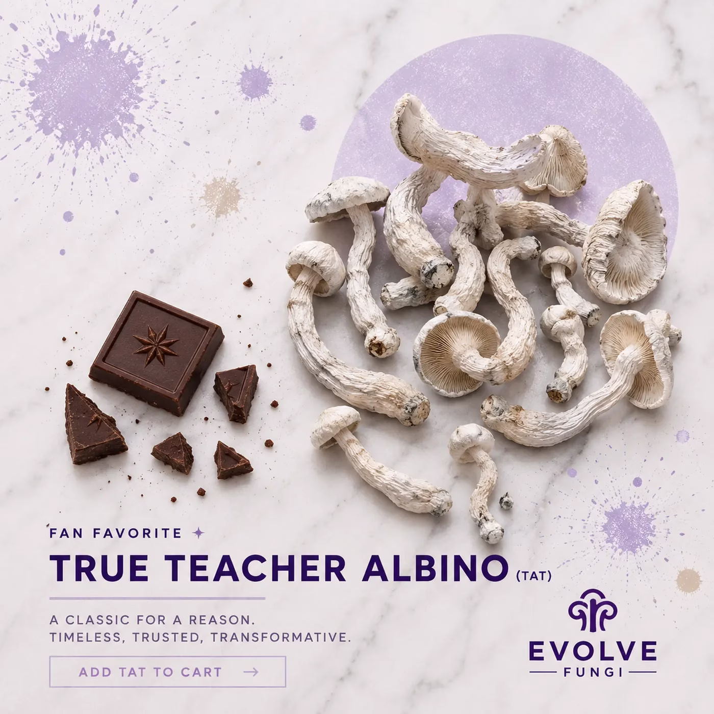 True Albino Teacher Cosmic Chocolate Bar