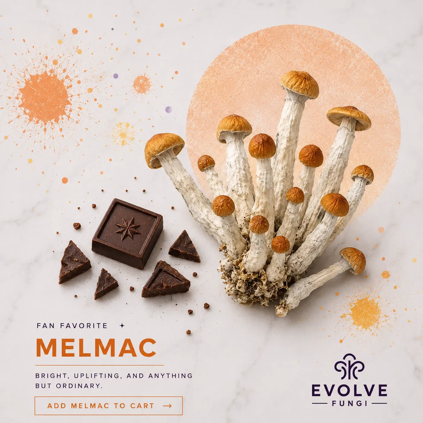 Melmac Cosmic Chocolate Bar