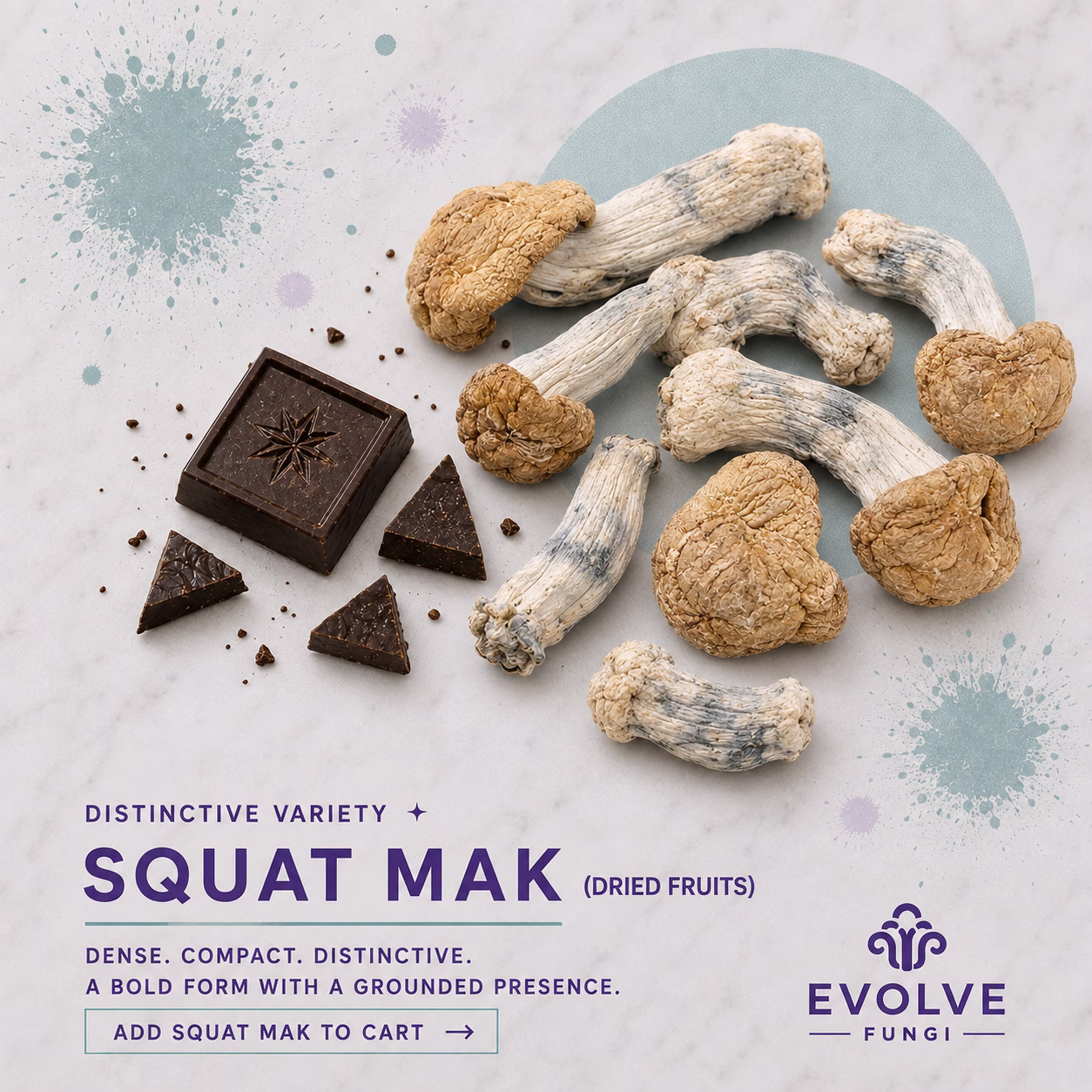 Squat Mak Cosmic Chocolate Bar