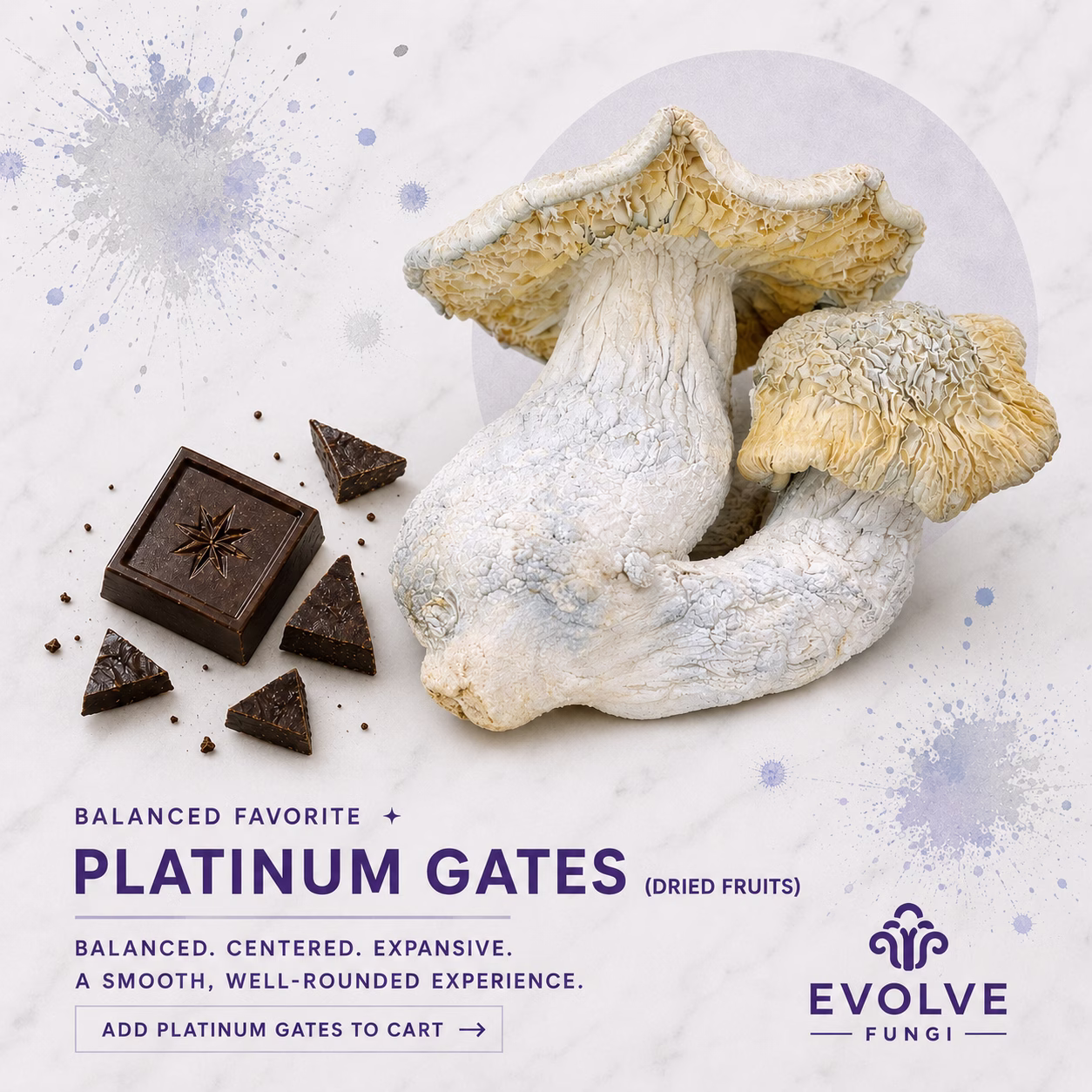 Platinum Gates Cosmic Chocolate Bar