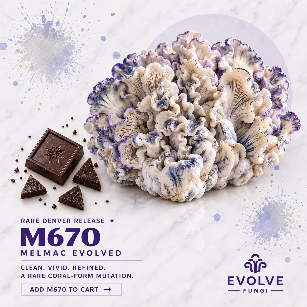 M670 Cosmic Chocolate Bar